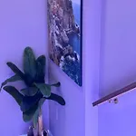 Sweet 招待所 4*